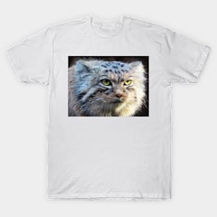 A Pallas's cat (manul) T-Shirt